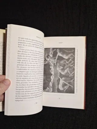 Stephen Jay Gould. Milenio