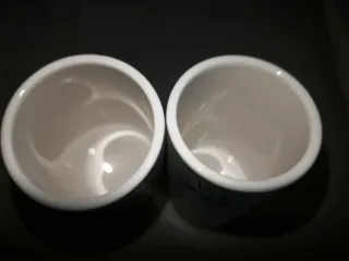 Set 2 Bicchieri Ceramica Vita de Cactus