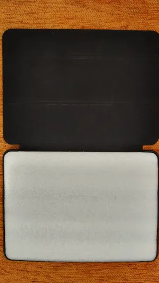 Custodia iPad Pro 11