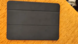 Custodia iPad Pro 11