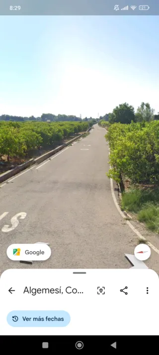 Terreno de naranjos en Algemesí