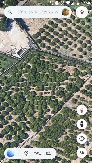 Terreno de naranjos en Algemesí