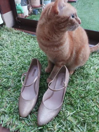 Zapatos dorados tacón 7cm talla 38