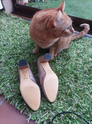 Zapatos dorados tacón 7cm talla 38