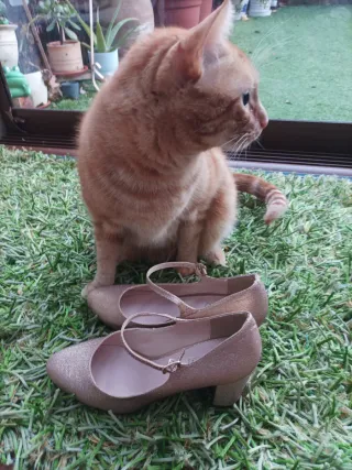 Zapatos dorados tacón 7cm talla 38