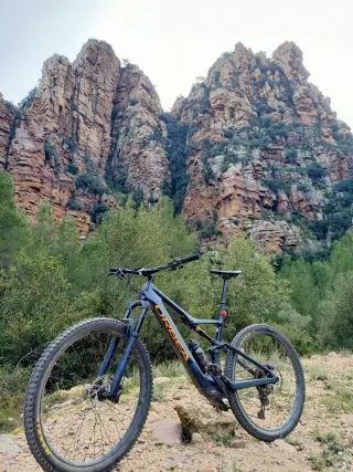 Bicicleta Eléctrica Montaña Orbea riseM20 Talla L