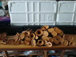 Pastori Presepe Fontanini Depose