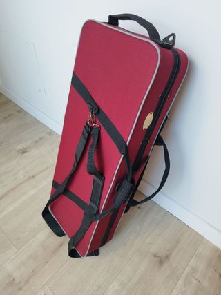 VIOLA Stentor Student II 15¨