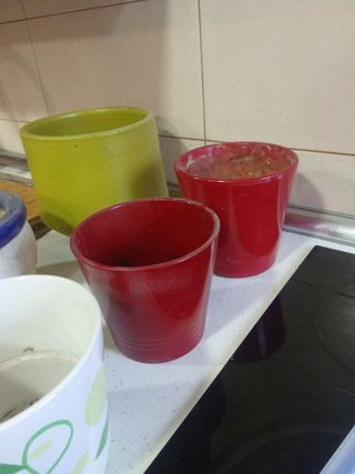 Lote Maceteros Cerámicos Variados