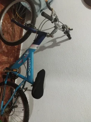 Bicicleta de Montaña Azul