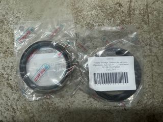 Retenes Haldex VW Audi