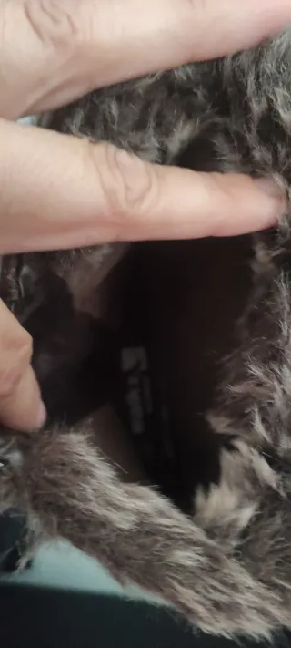 Botas marrones nuevas con etiqueta