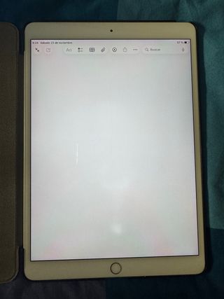 iPad Air 2019 + Apple Pencil