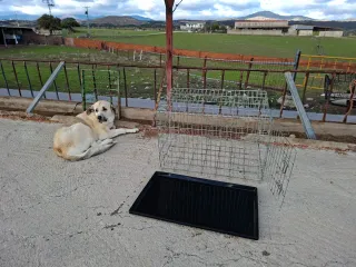 Jaula metálica para mascotas