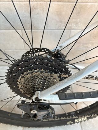 Orbea Alma 29 Bicicleta Montaña