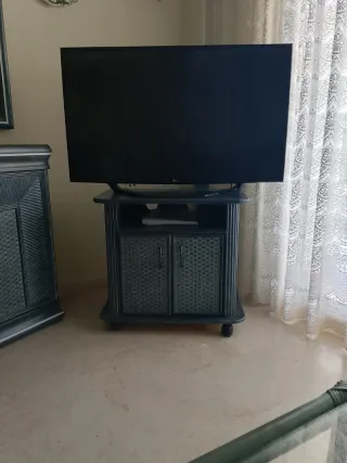 Mueble TV con ruedas y puertas