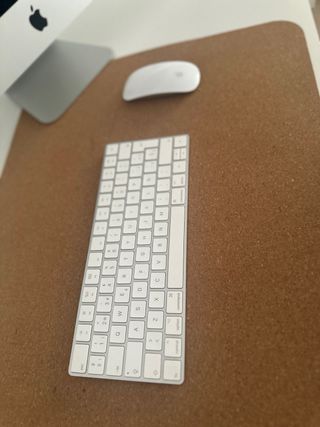 IMAC 21,5” 2020 Plata