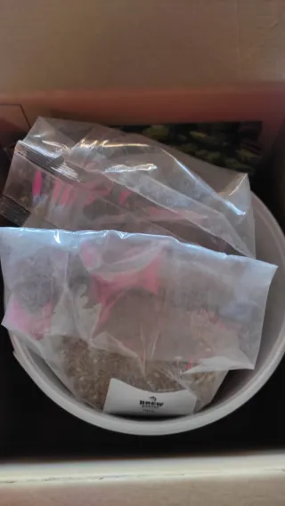 Kit para hacer cerveza