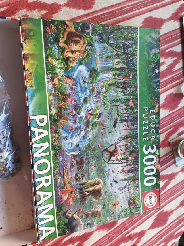 Puzzle Panorama Educa 3000 Piezas