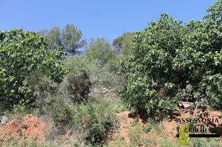 Terreno en venta en Torrelles de Llobregat