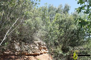 Terreno en venta en Torrelles de Llobregat