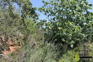 Terreno en venta en Torrelles de Llobregat