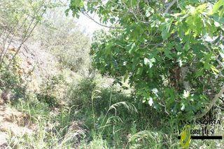 Terreno en venta en Torrelles de Llobregat