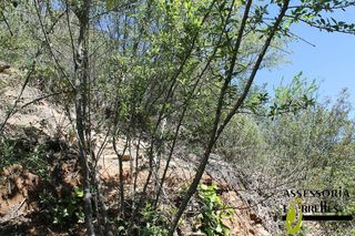 Terreno en venta en Torrelles de Llobregat