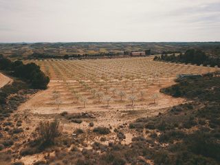 Terreno en venta en Caspe