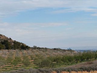 Terreno en venta en Caspe