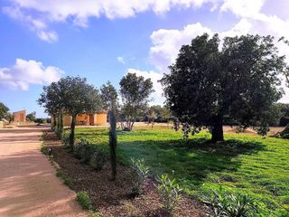 Casa rural en alquiler en Porreres