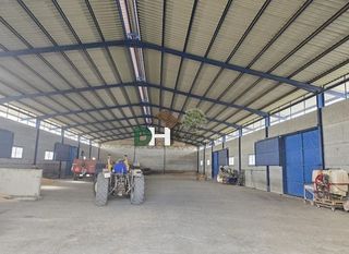 Terreno en venta en Oeste en Mérida