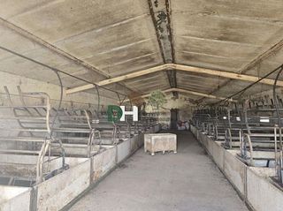 Terreno en venta en Oeste en Mérida