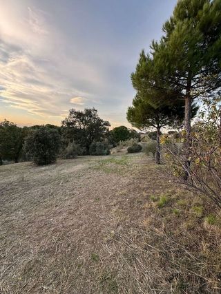 Terreno en venta en Sevilla la Nueva