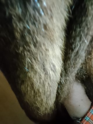 Abrigo cálido de piel.