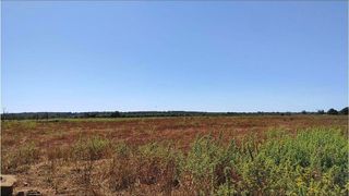 Solar en venta en Campos