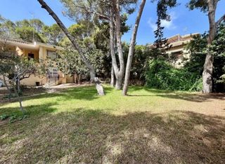 Todo tipo de servicios de jardines