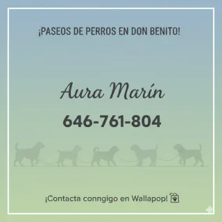 Paseos de perros en Don Benito
