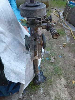 Motor fueraborda Seagull cola larga