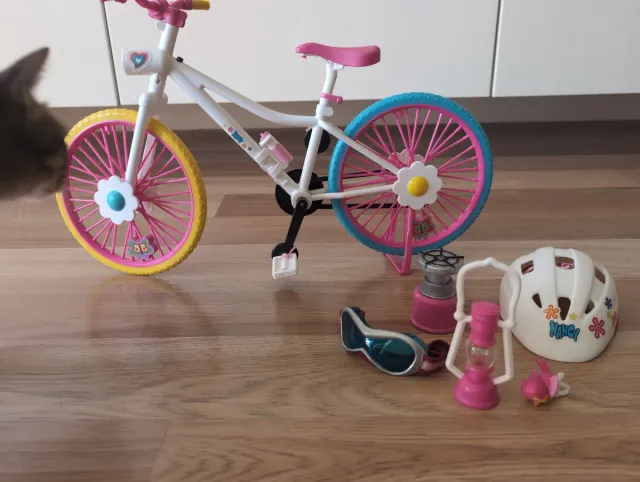 Bicicleta Nancy con accesorios