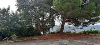 Terreno en venta en Can Semi - Mas Nou - Mas Ros en Castell-Platja d´Aro