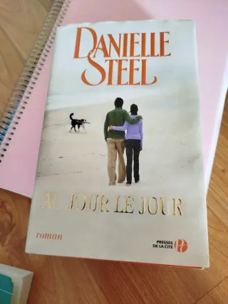 Au jour le jour roman