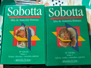 Oxford Anatomy (Spanish Edition)
