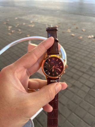 Reloj LIGE Cuarzo Analógico Marrón y Dorado