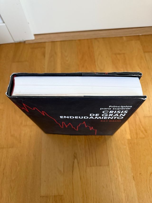 Principios para superar crisis de gran endeudam...