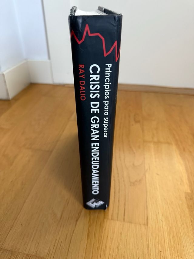 Principios para superar crisis de gran endeudam...