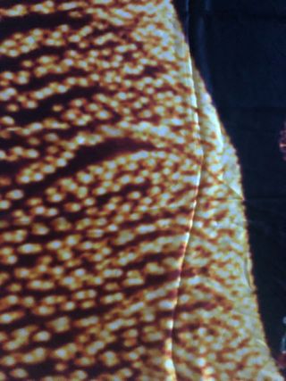 Foulard in pura seta con stampa Las Vegas