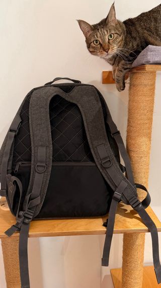 Mochila Eastpak Volker Gris