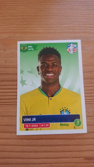 Lote cromos Panini Copa América 2024