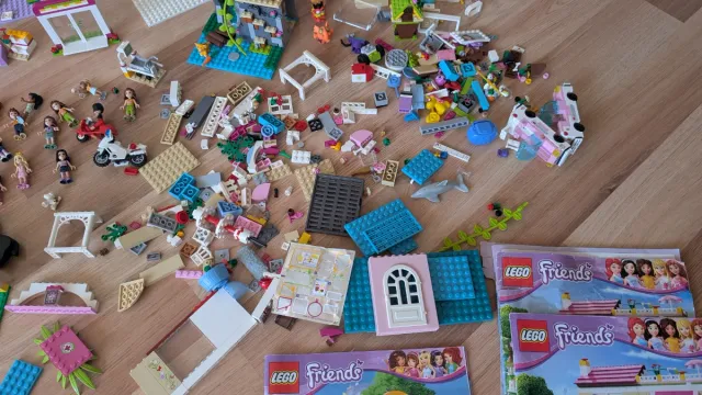 Lote LEGO Friends